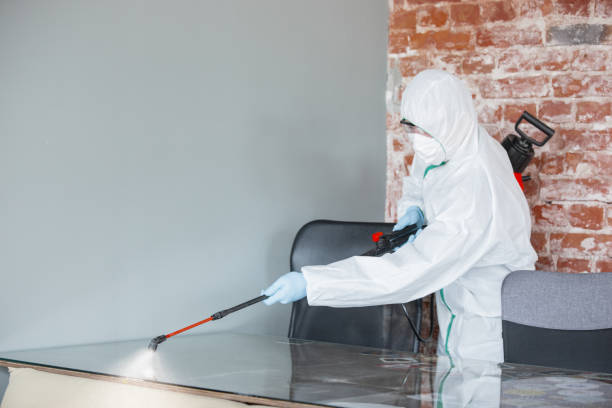 Best Residential Mold Inspection & Testing  in Cedar Grove, WI