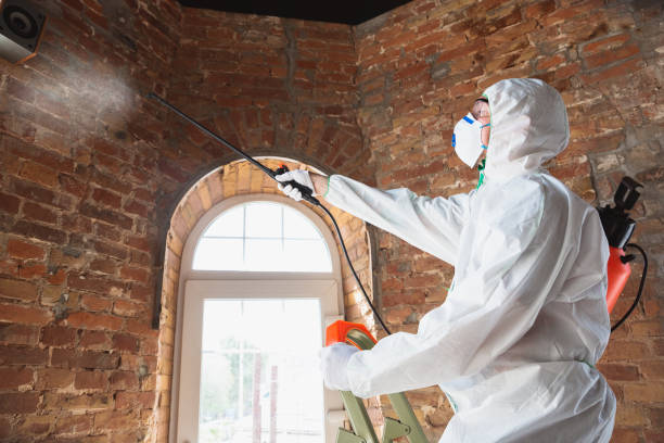 Best Commercial Mold Inspection  in Cedar Grove, WI